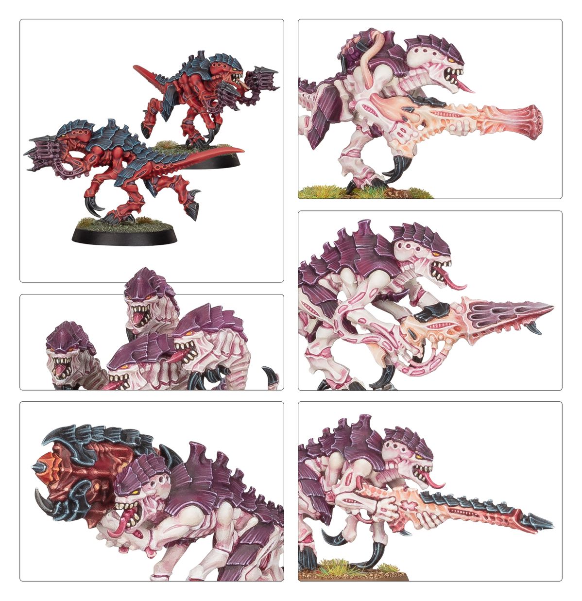 Warhammer 40K - TERMAGANTS