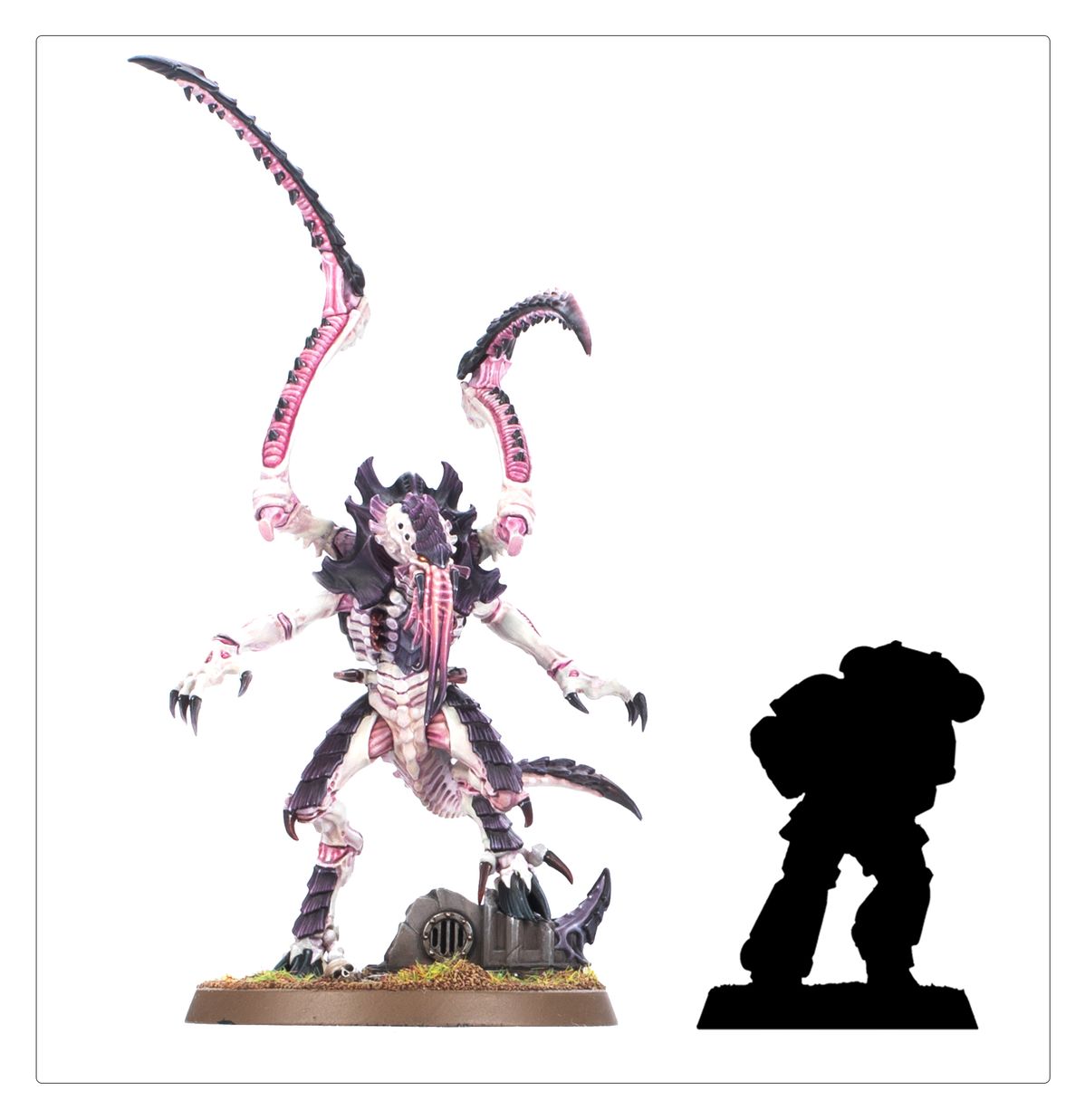 Warhammer 40K - LICTOR