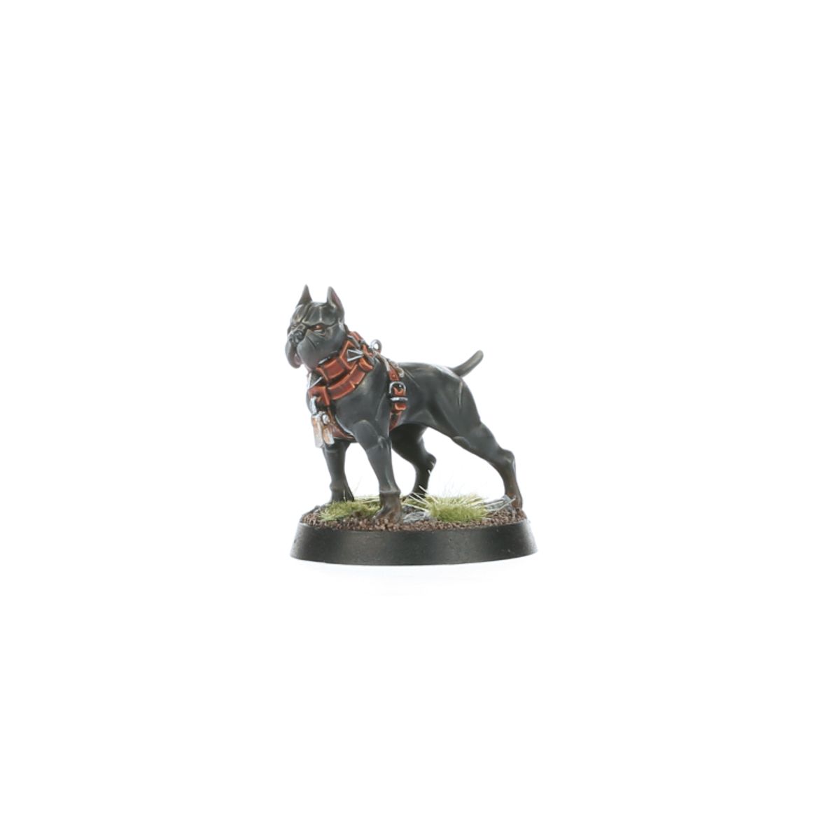 Age of Sigmar - WARCRY: WILDERCORPS HUNTERS