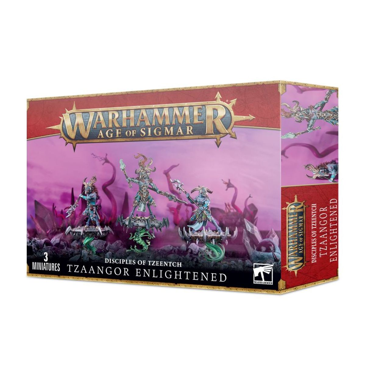 Age of Sigmar - TZAANGOR ENLIGHTENED