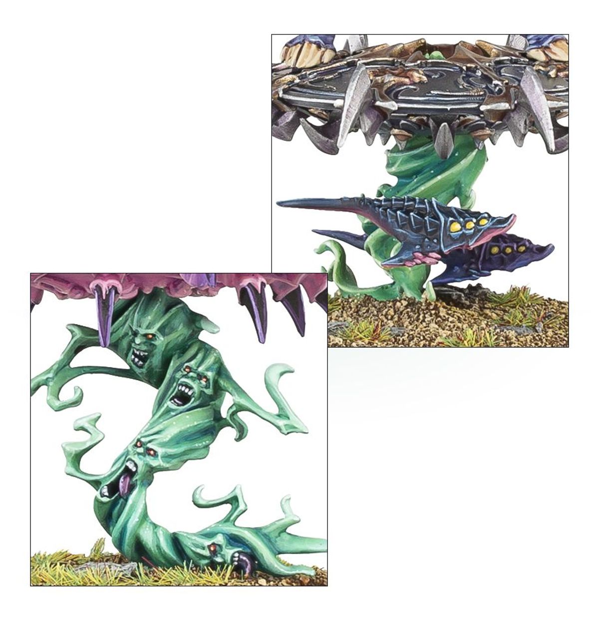 Age of Sigmar - TZAANGOR ENLIGHTENED