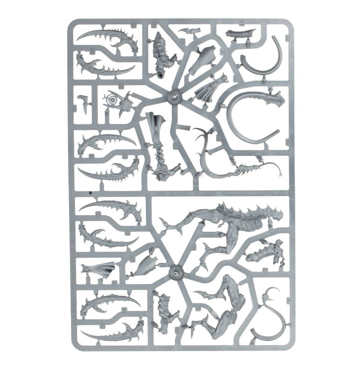 Age of Sigmar - FIENDS