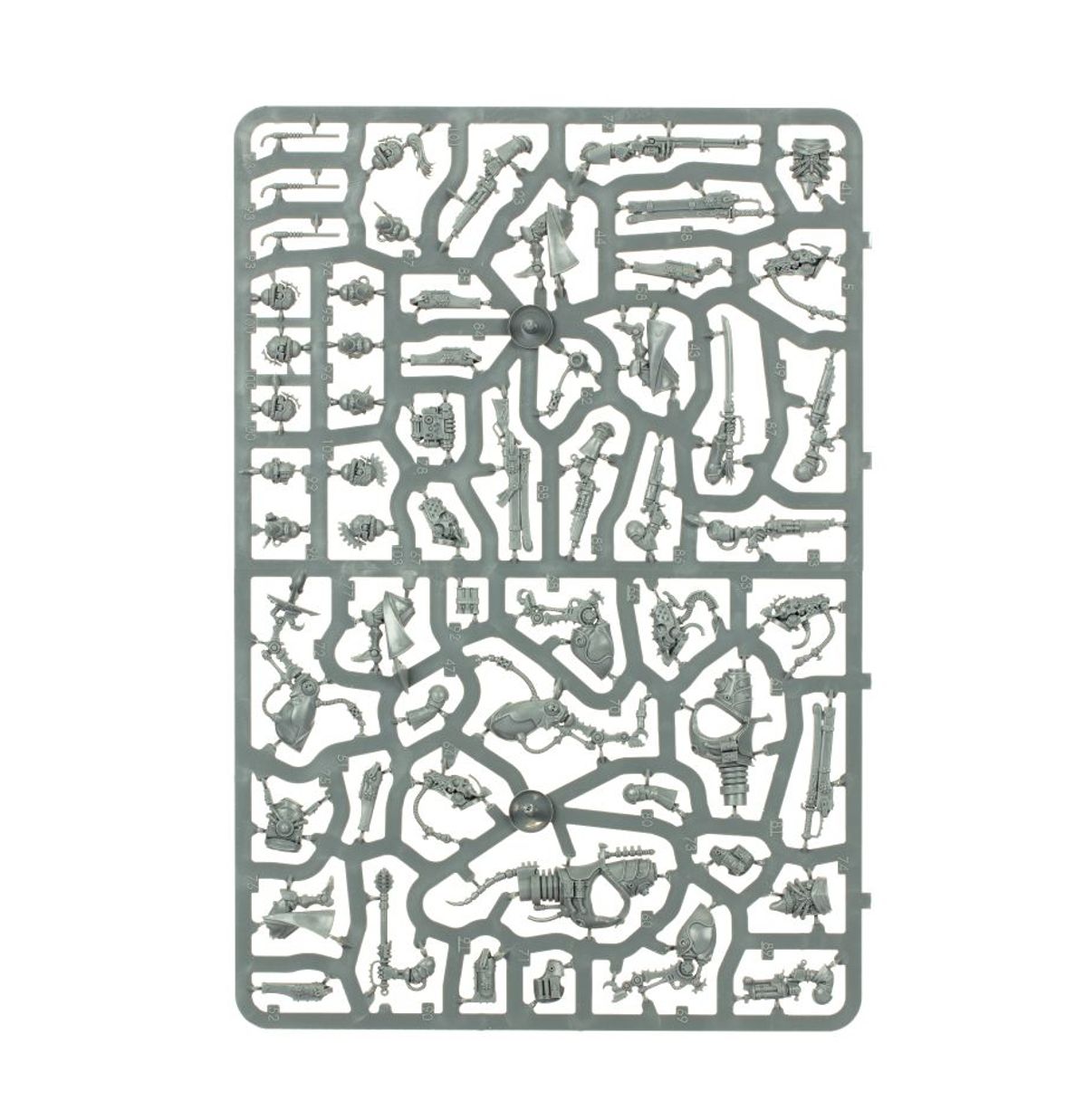 Warhammer 40K - SERBERYS RAIDERS