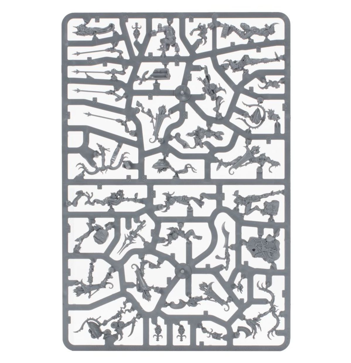 Age of Sigmar - BLISSBARB ARCHERS