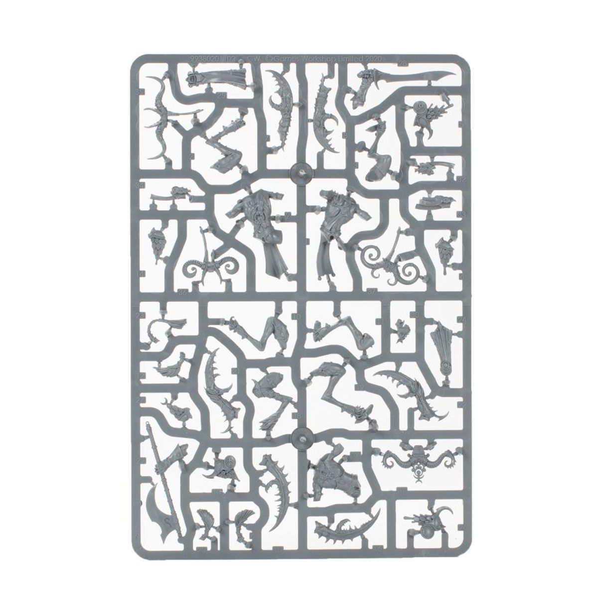 Age of Sigmar - SLAANGOR FIENDBLOODS