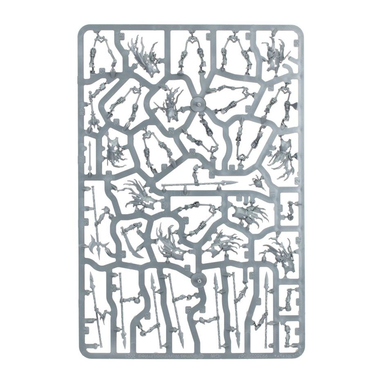 Age of Sigmar - DEATHRATTLE SKELETONS