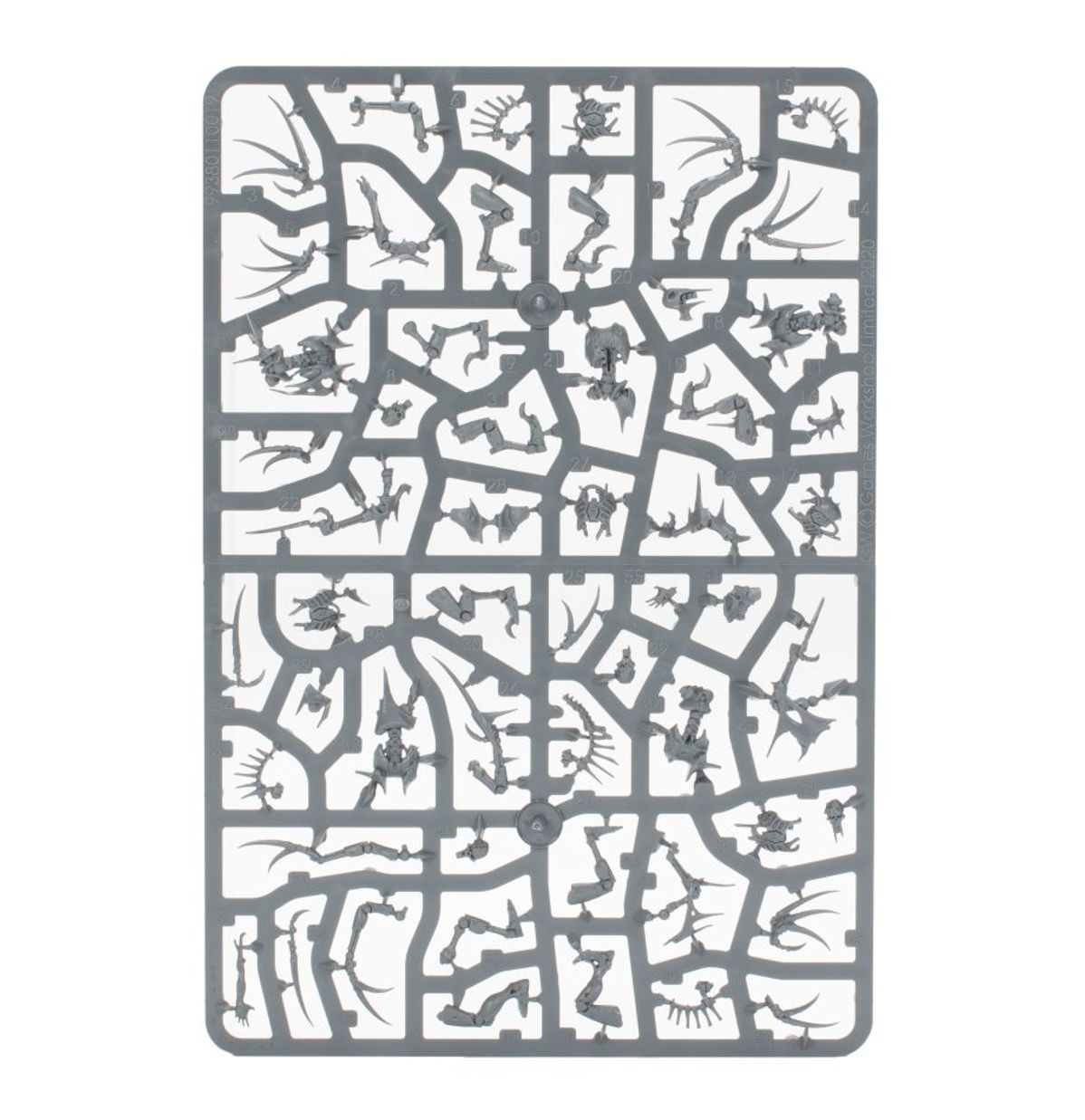 Warhammer 40K - FLAYED ONES