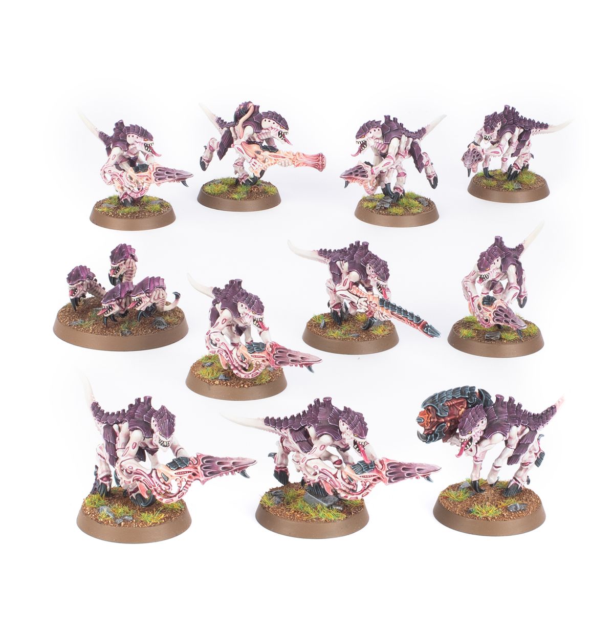 Warhammer 40K - TERMAGANTS