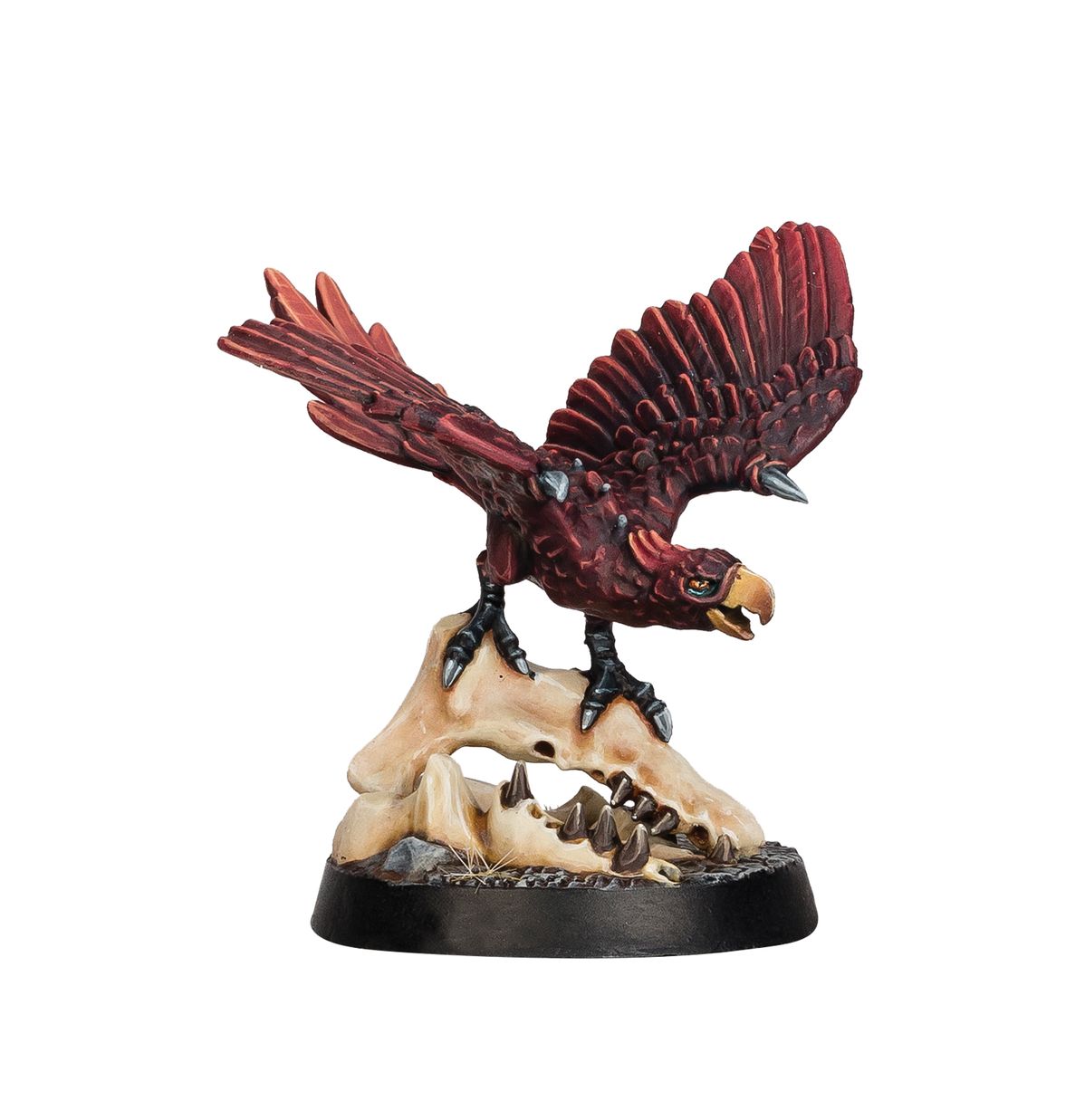 Age of Sigmar - BLACKPOWDER'S BUCCANEERS