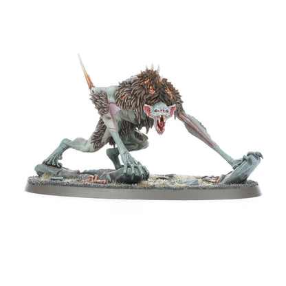 Age of Sigmar - SPEARHEAD: FLESH-EATER COURTS