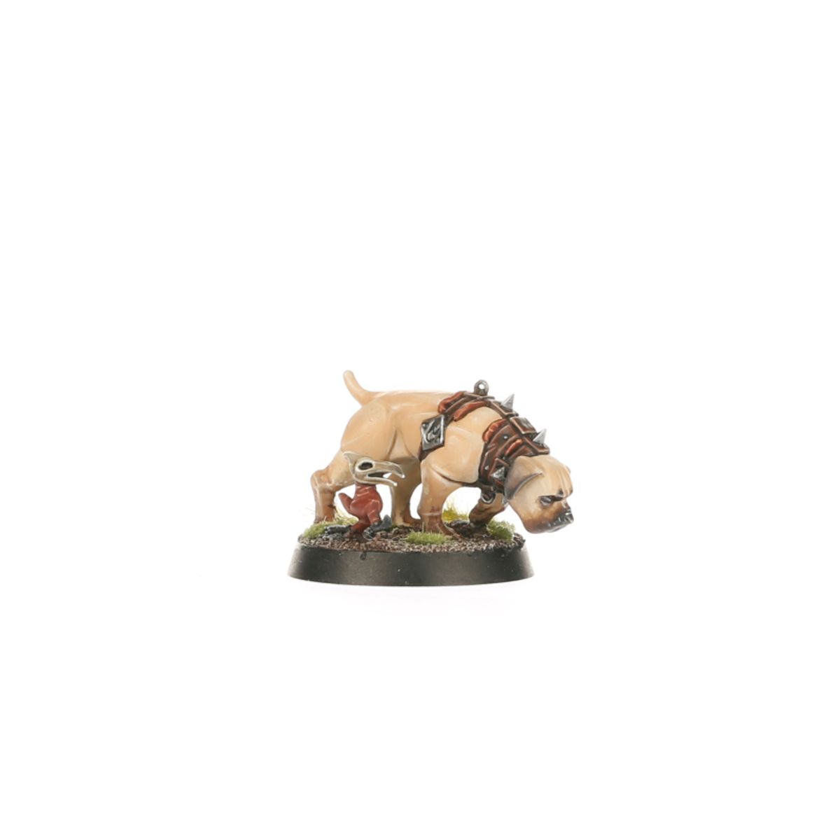 Age of Sigmar - WARCRY: WILDERCORPS HUNTERS
