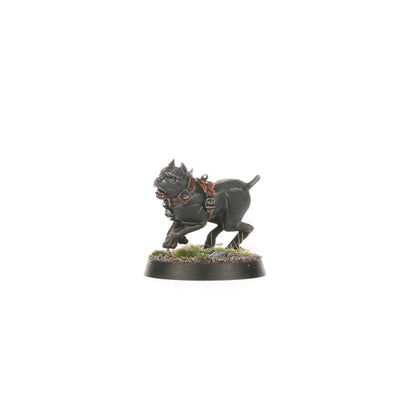 Age of Sigmar - WARCRY: WILDERCORPS HUNTERS