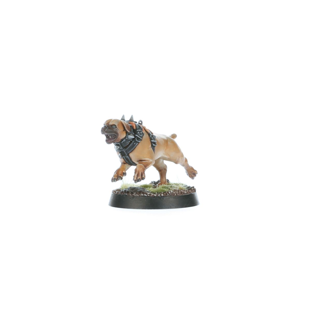 Age of Sigmar - WARCRY: WILDERCORPS HUNTERS