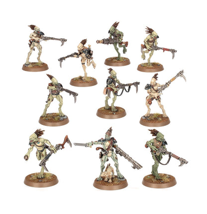 Warhammer 40K - KROOT CARNIVORES