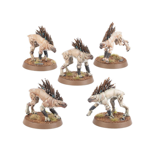 Warhammer 40K - KROOT HOUNDS