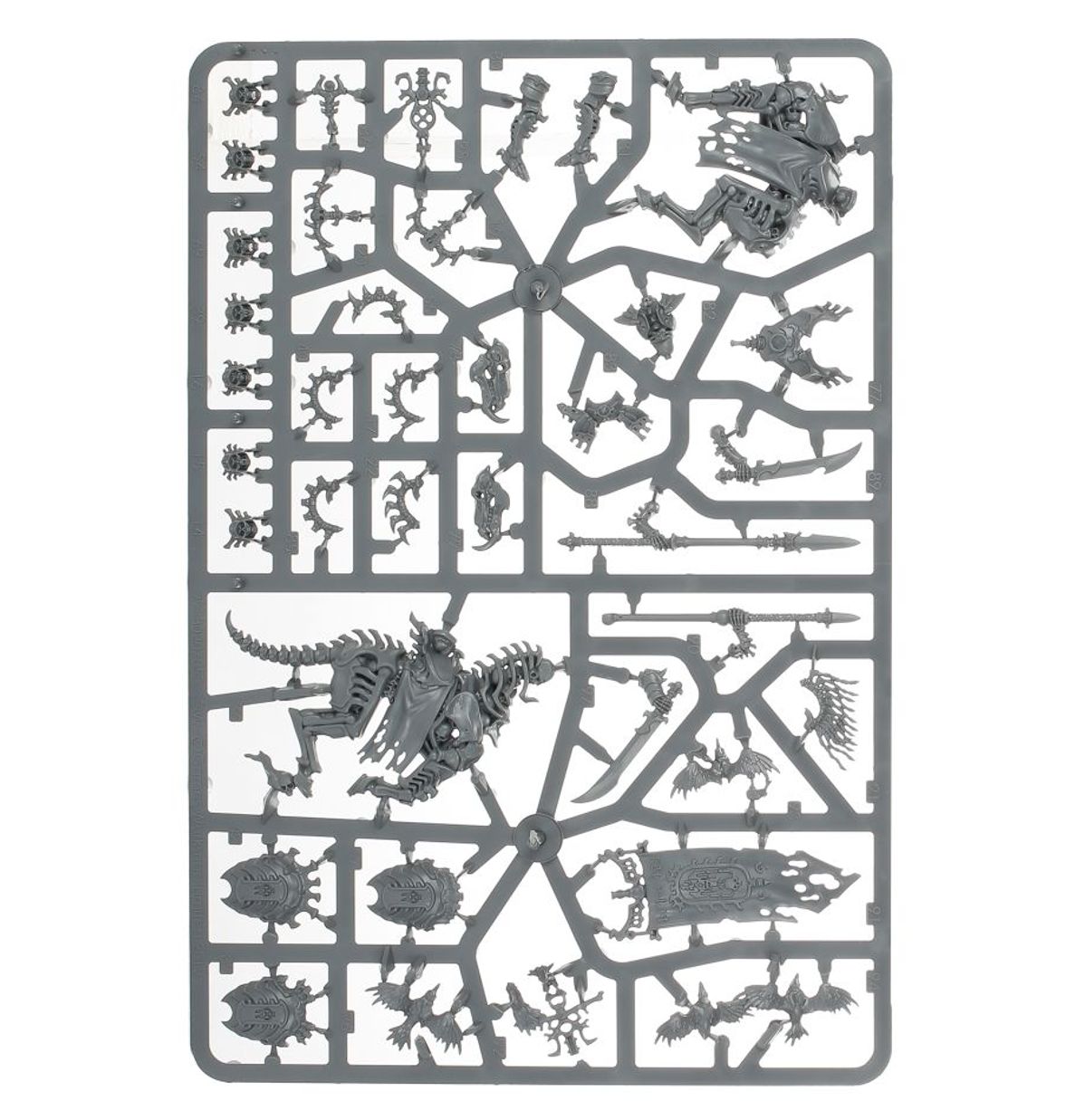 Age of Sigmar - SPEARHEAD: OSSIARCH BONEREAPERS