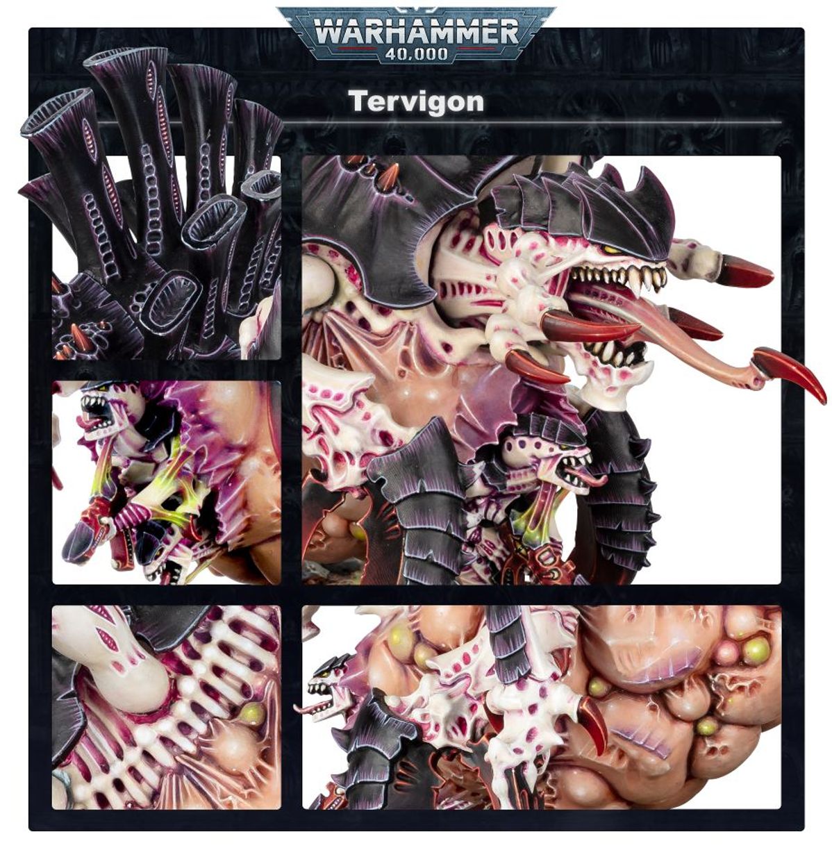 Warhammer 40K - TERVIGON