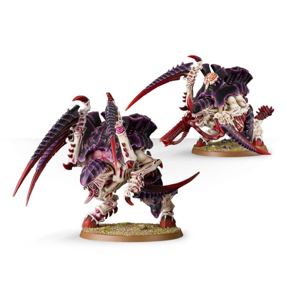 Warhammer 40K - CARNIFEX BROOD