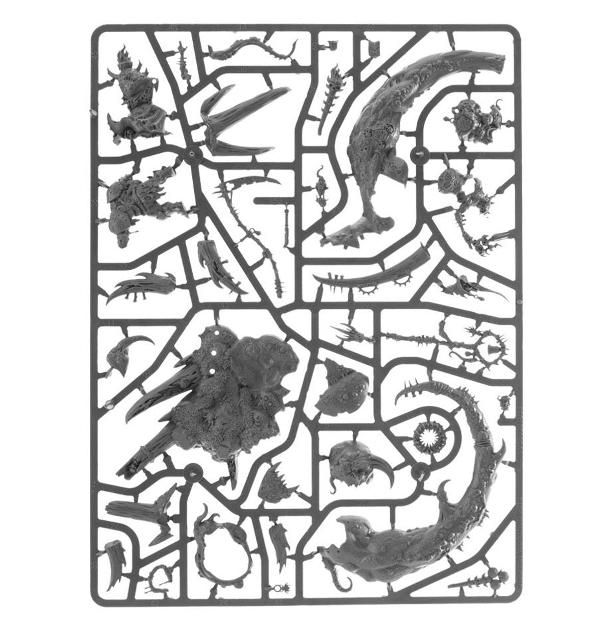 Age of Sigmar - THE GLOTTKIN