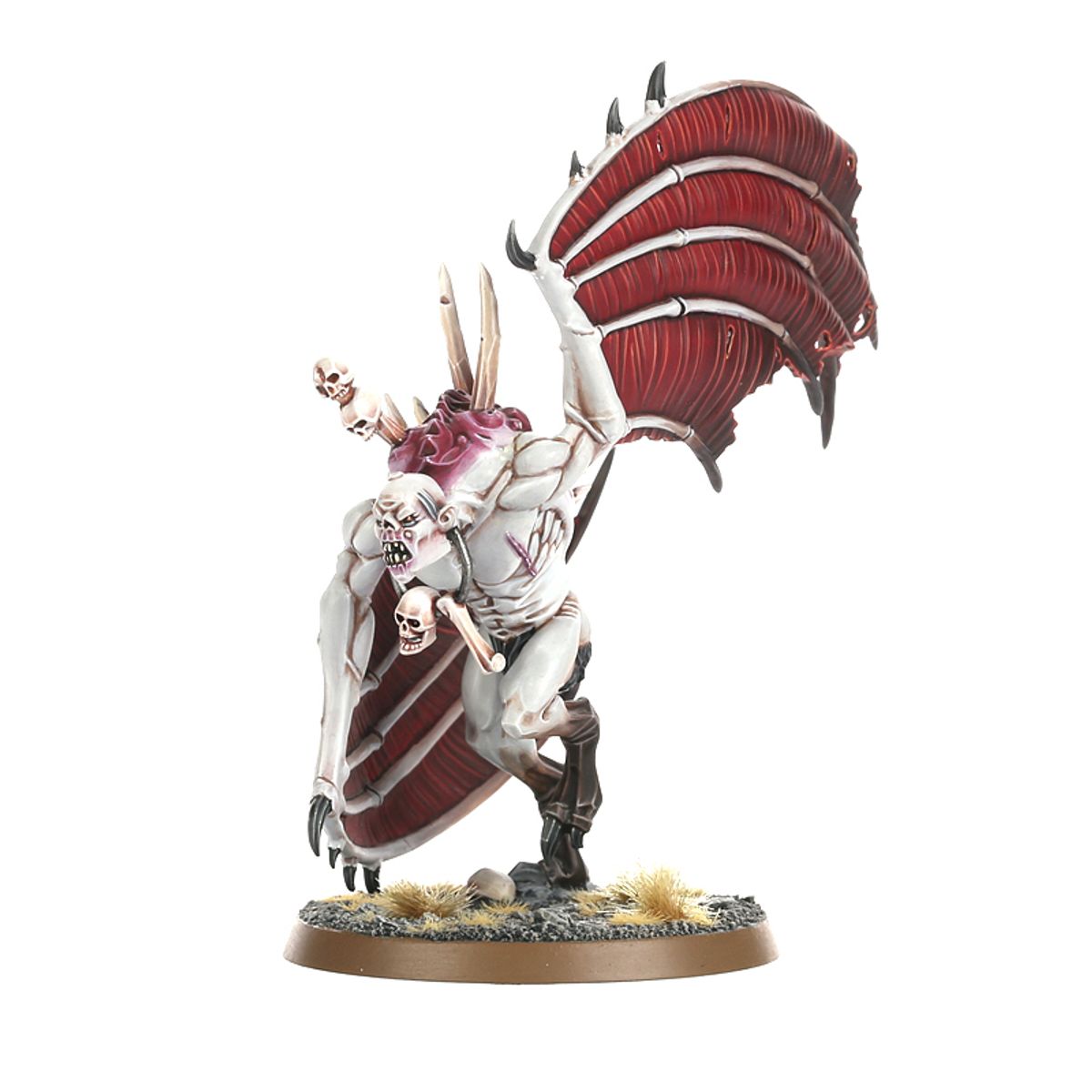 Age of Sigmar - CRYPT FLAYERS
