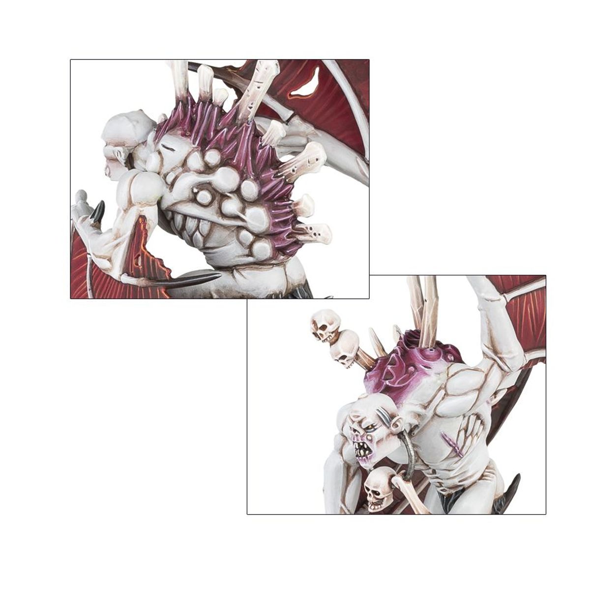 Age of Sigmar - CRYPT FLAYERS
