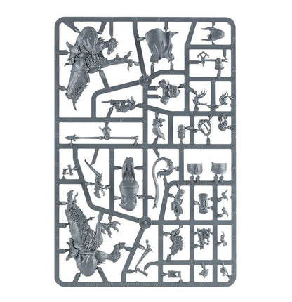 Age of Sigmar - VANGUARD-PALLADORS