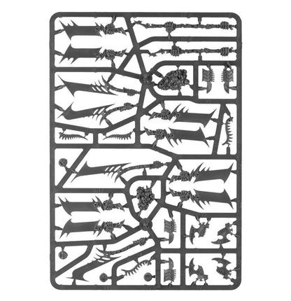 Age of Sigmar - MORGHAST ARCHAI