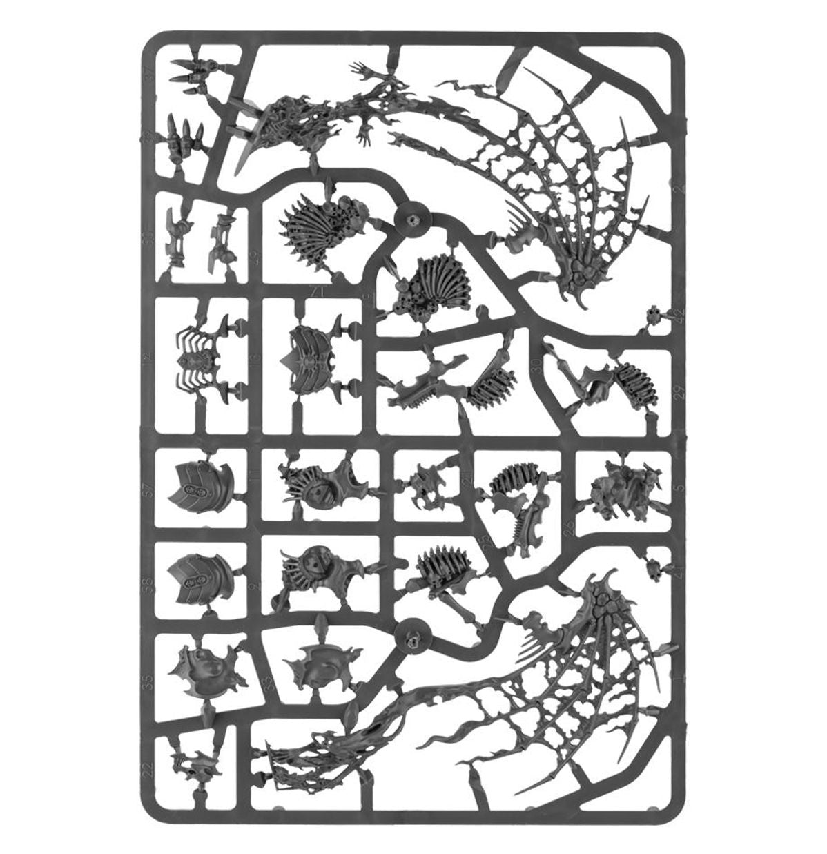 Age of Sigmar - MORGHAST ARCHAI