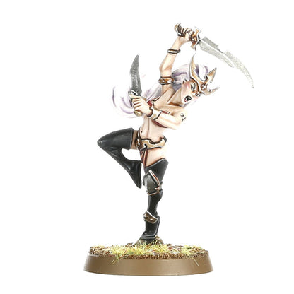 Age of Sigmar - WITCH AELVES