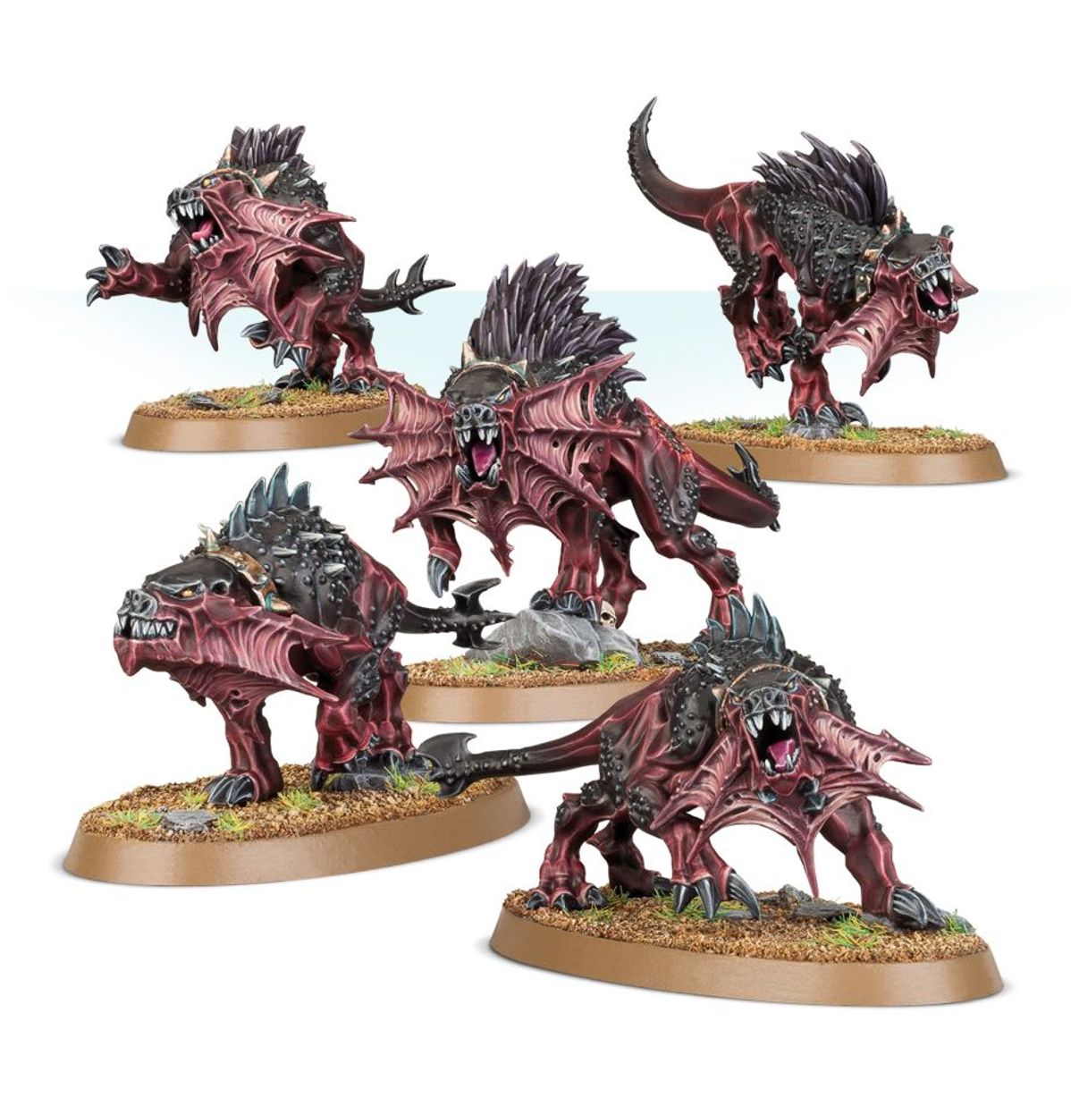 Age of Sigmar - FLESH HOUNDS