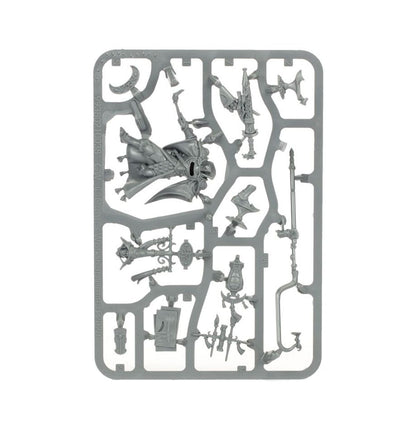 Age of Sigmar - SCINARI CALLIGRAVE