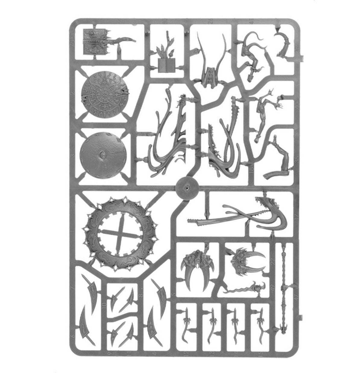 Age of Sigmar - CHANGECASTER