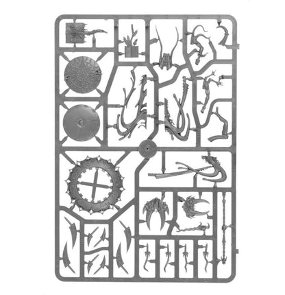 Age of Sigmar - CHANGECASTER