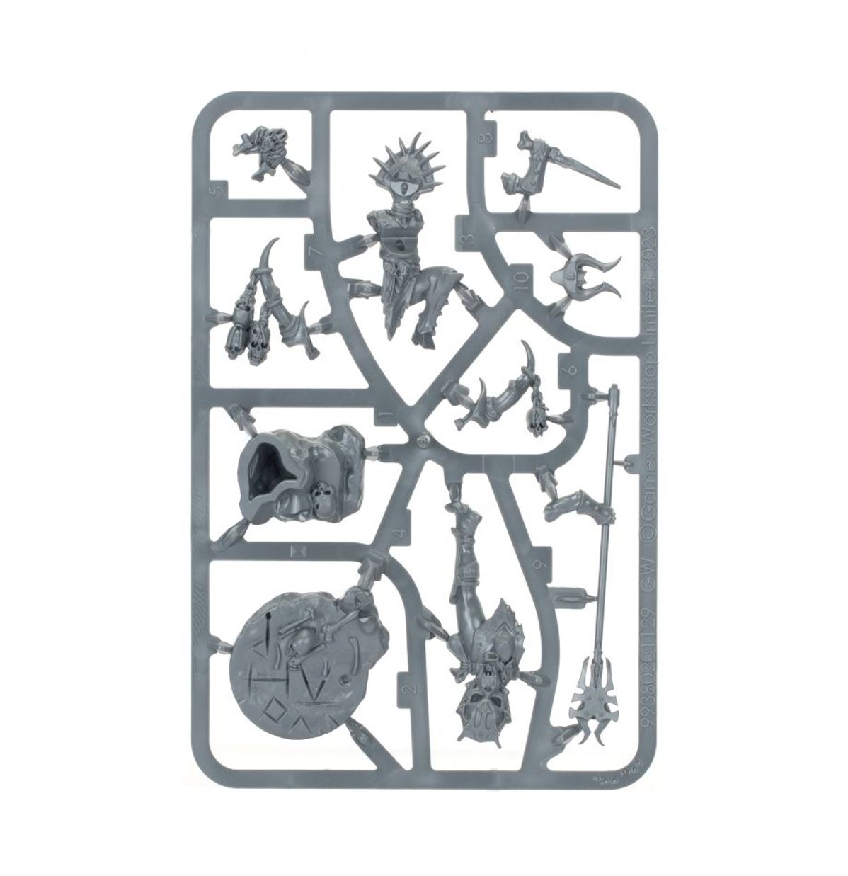 Age of Sigmar - REALMGORE RITUALIST