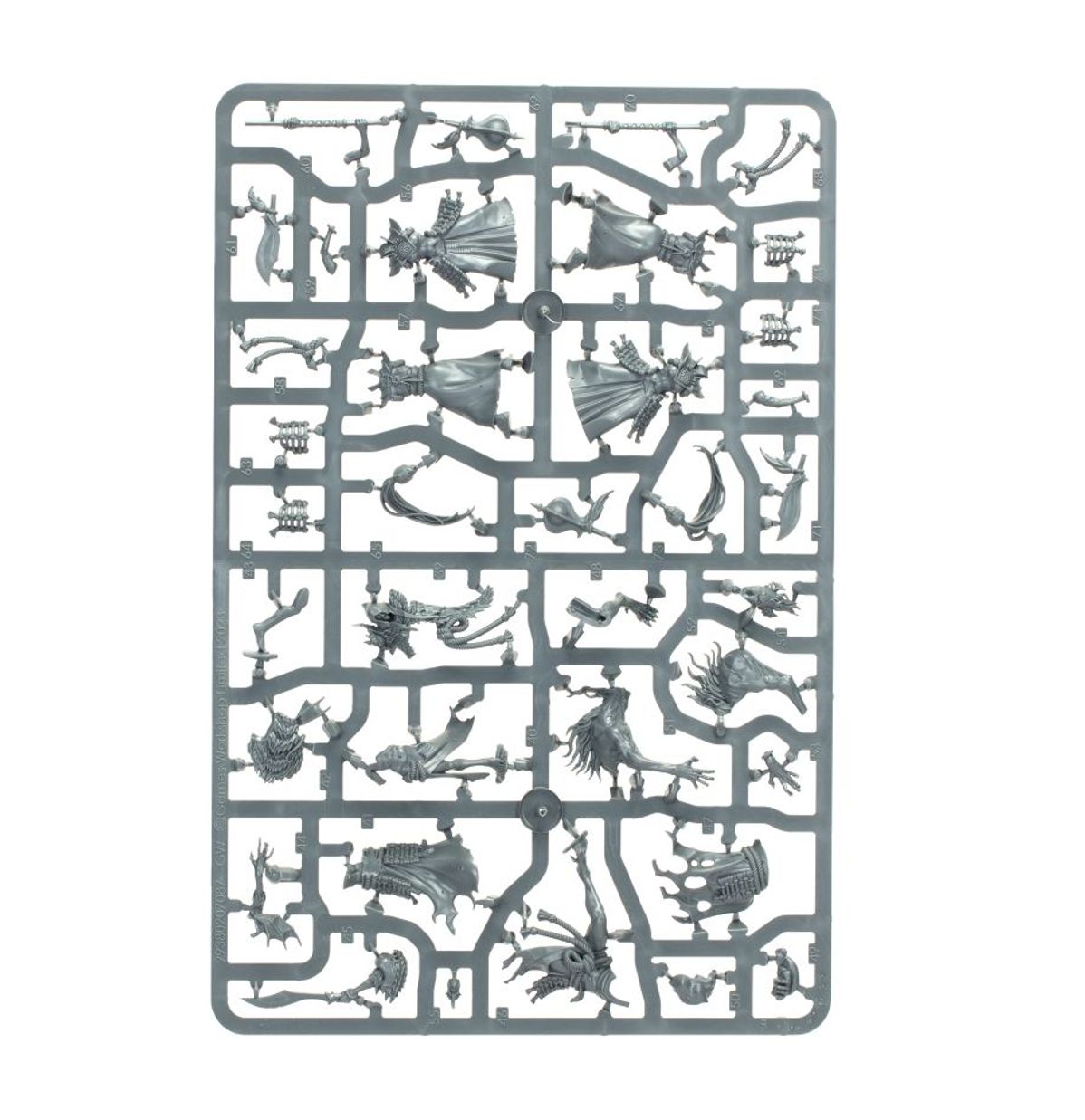 Age of Sigmar - WARCRY: ASKURGAN TRUEBLADES
